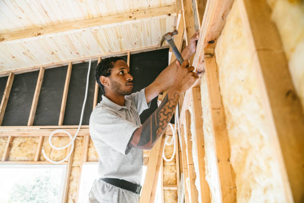 Best Blown-in Insulation  in Sebring, FL